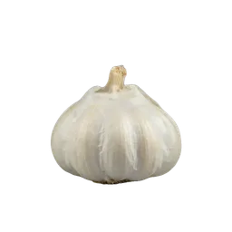 garlic